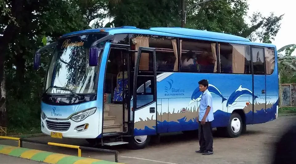 rental bus medium