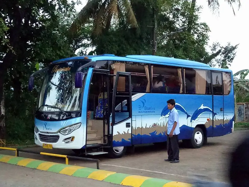 rental bus medium 